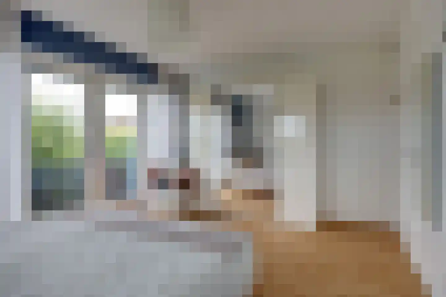 Breesloot 15 Broek op Langedijk thumbnail 41