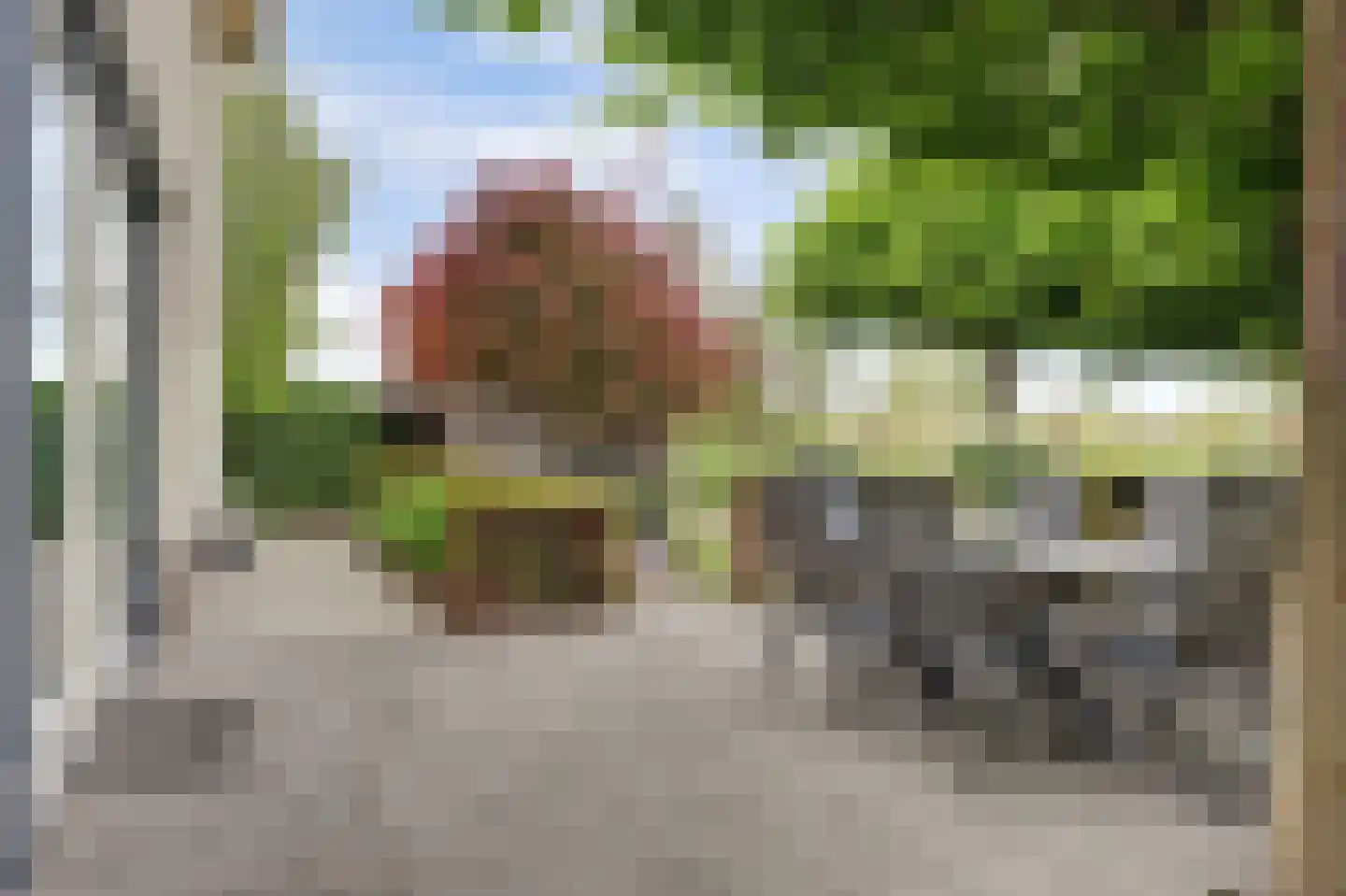Breesloot 15 Broek op Langedijk thumbnail 65