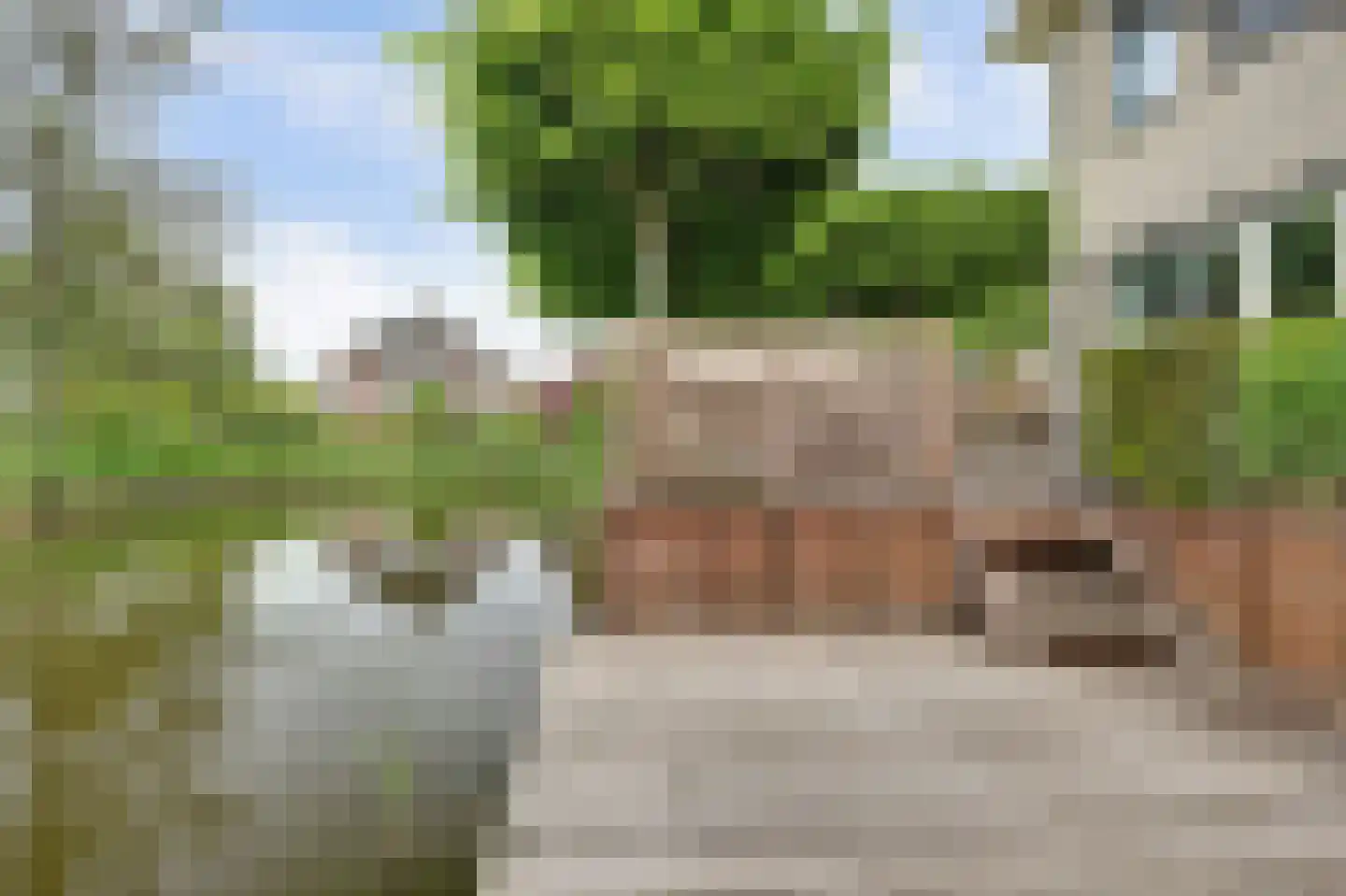 Breesloot 15 Broek op Langedijk thumbnail 67