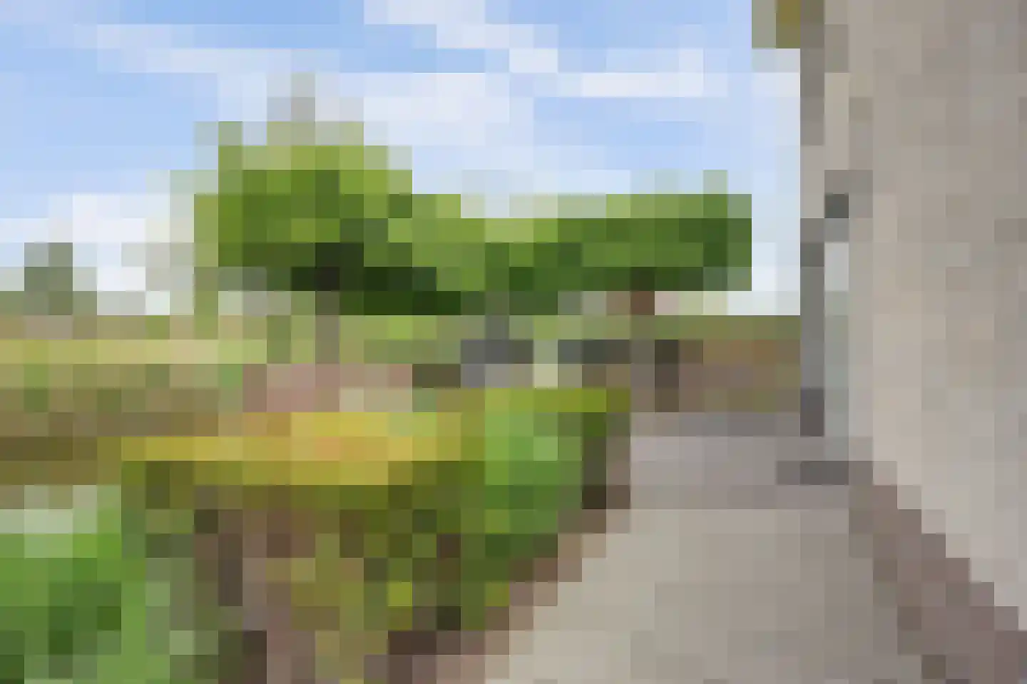 Breesloot 15 Broek op Langedijk thumbnail 70