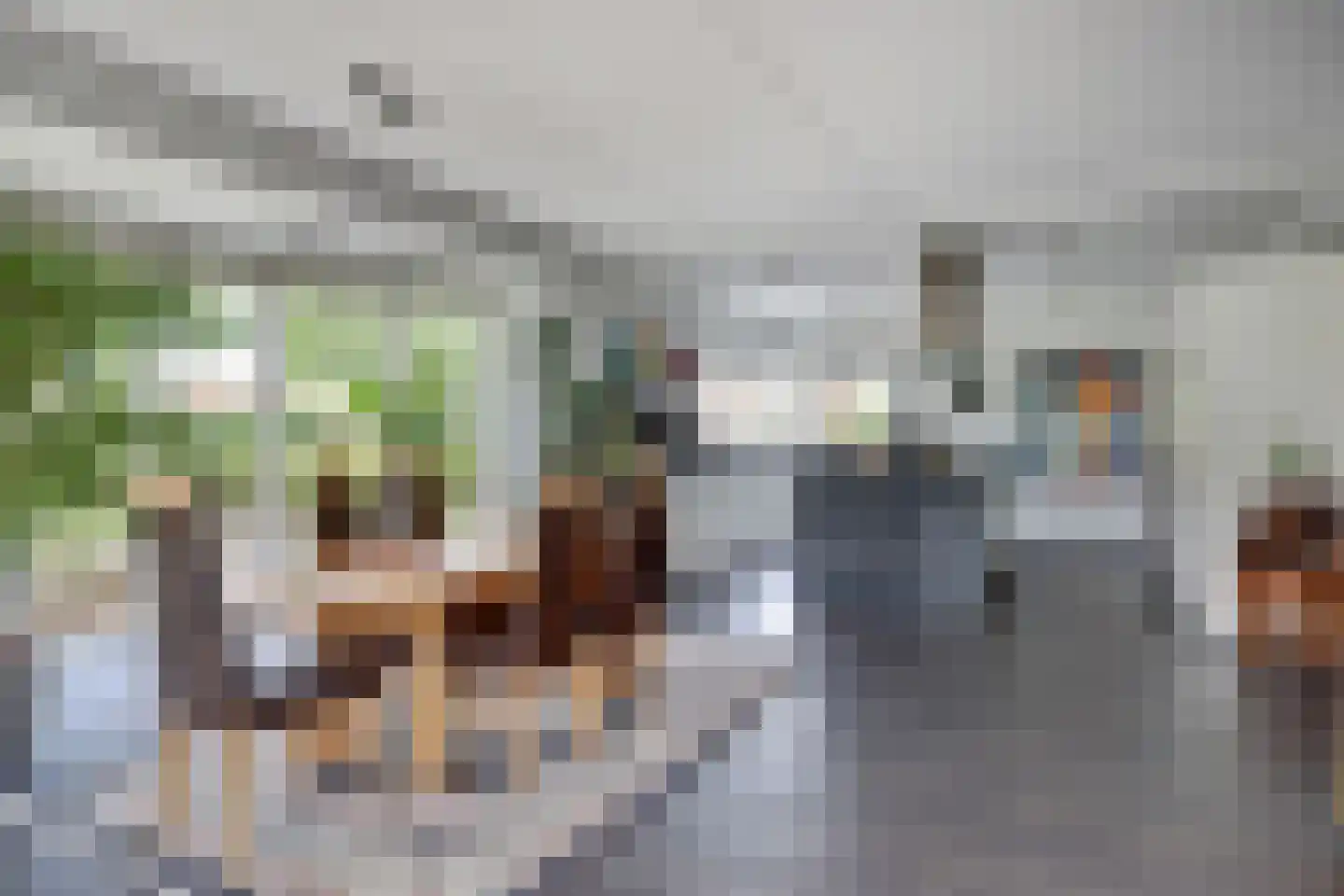Breesloot 15 Broek op Langedijk thumbnail 8