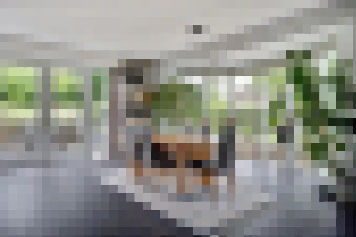 Breesloot 15 Broek op Langedijk thumbnail 9