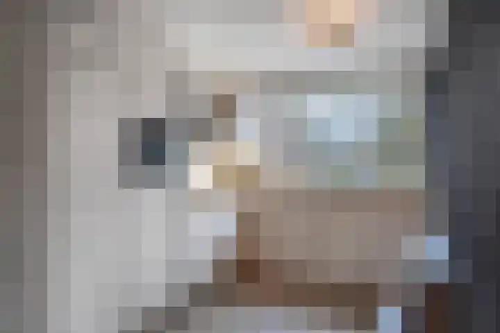 Breesloot 18 Broek op Langedijk thumbnail 20