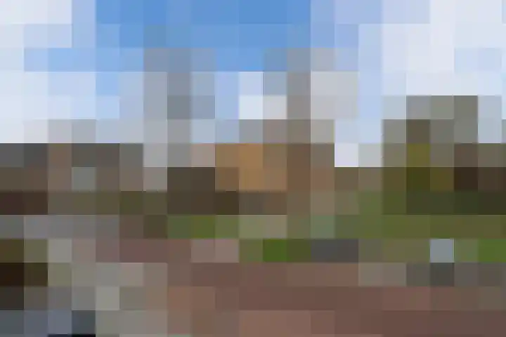 Breesloot 18 Broek op Langedijk thumbnail 32