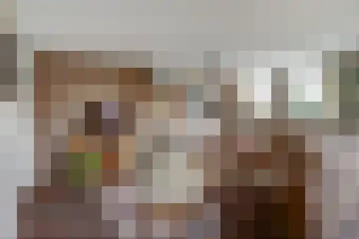 Breesloot 40 Broek op Langedijk thumbnail 10