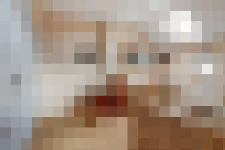 Breesloot 40 Broek op Langedijk thumbnail 23