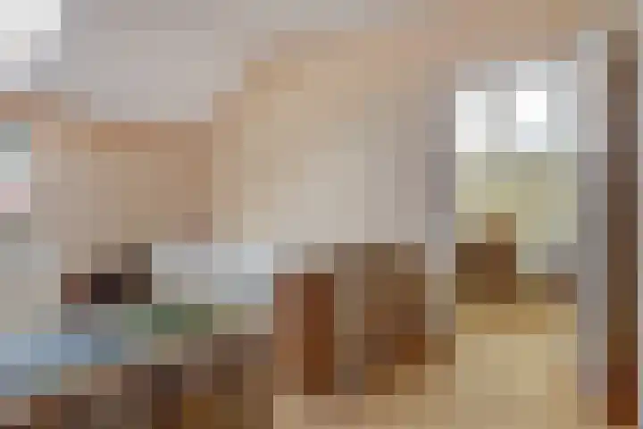 Breesloot 40 Broek op Langedijk thumbnail 24