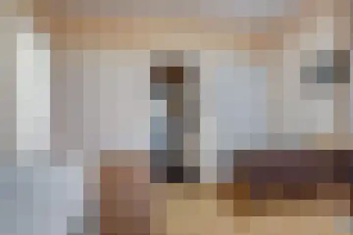 Breesloot 40 Broek op Langedijk thumbnail 25