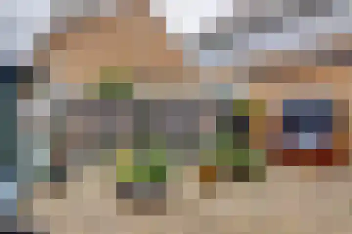 Breesloot 40 Broek op Langedijk thumbnail 28