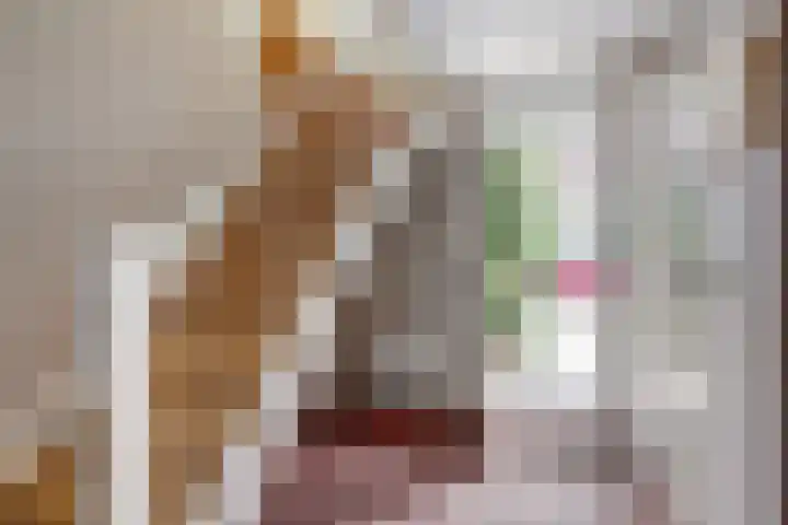Breesloot 40 Broek op Langedijk thumbnail 7
