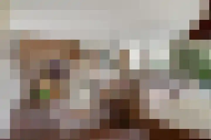 Breesloot 40 Broek op Langedijk thumbnail 8