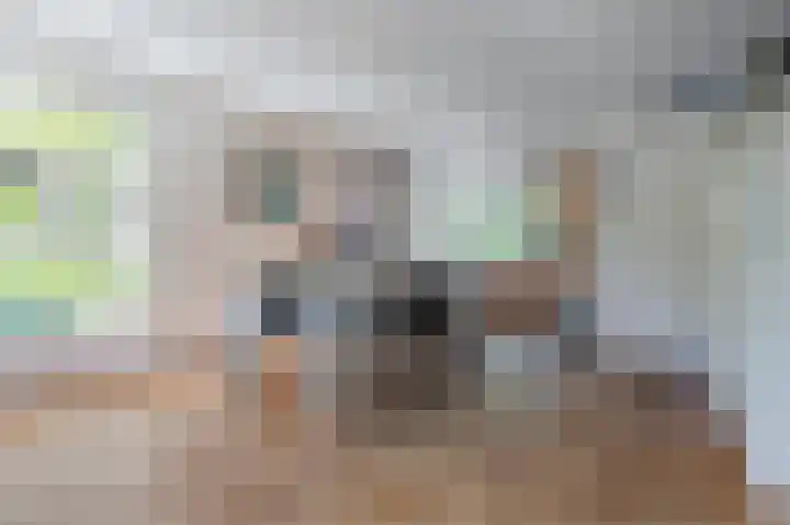 Breesloot 56 Broek op Langedijk thumbnail 14