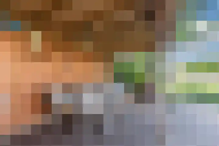 Breesloot 56 Broek op Langedijk thumbnail 49