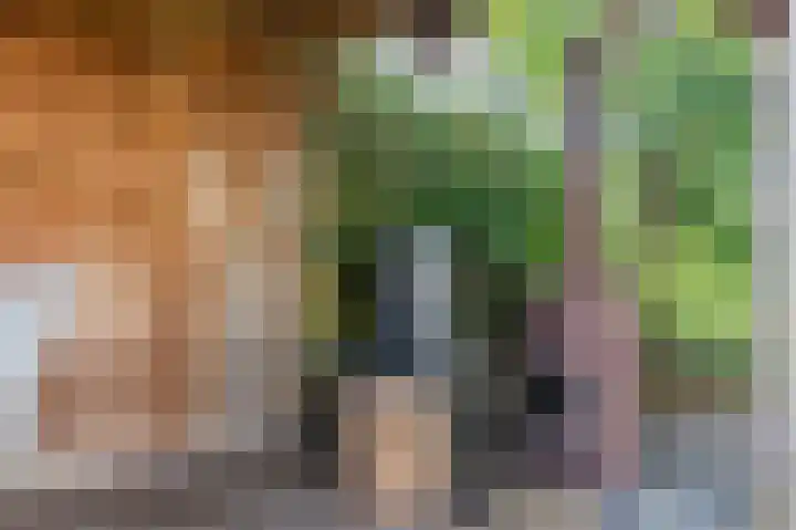 Breesloot 56 Broek op Langedijk thumbnail 51
