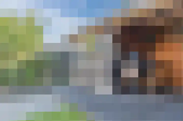 Breesloot 56 Broek op Langedijk thumbnail 56