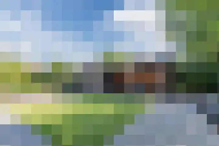 Breesloot 56 Broek op Langedijk thumbnail 57