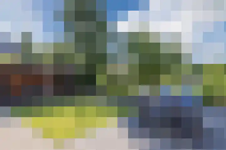 Breesloot 56 Broek op Langedijk thumbnail 64
