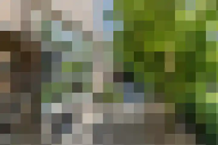 Breesloot 56 Broek op Langedijk thumbnail 66