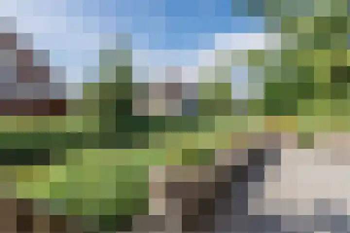 Breesloot 56 Broek op Langedijk thumbnail 67