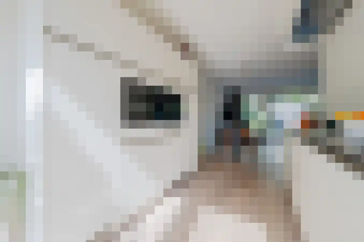Breesteegh 18 Zeist thumbnail 10