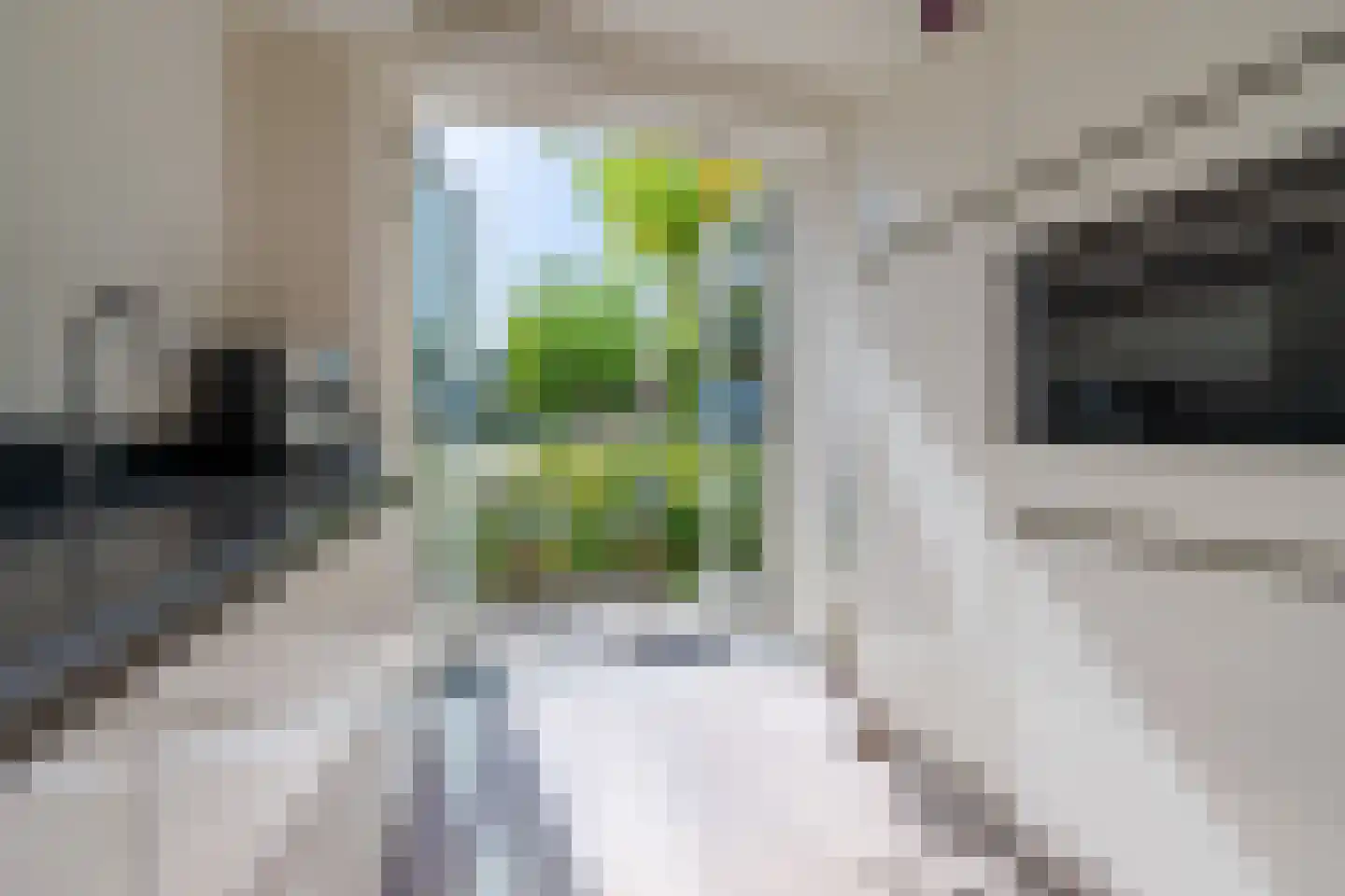 Breesteegh 18 Zeist thumbnail 11