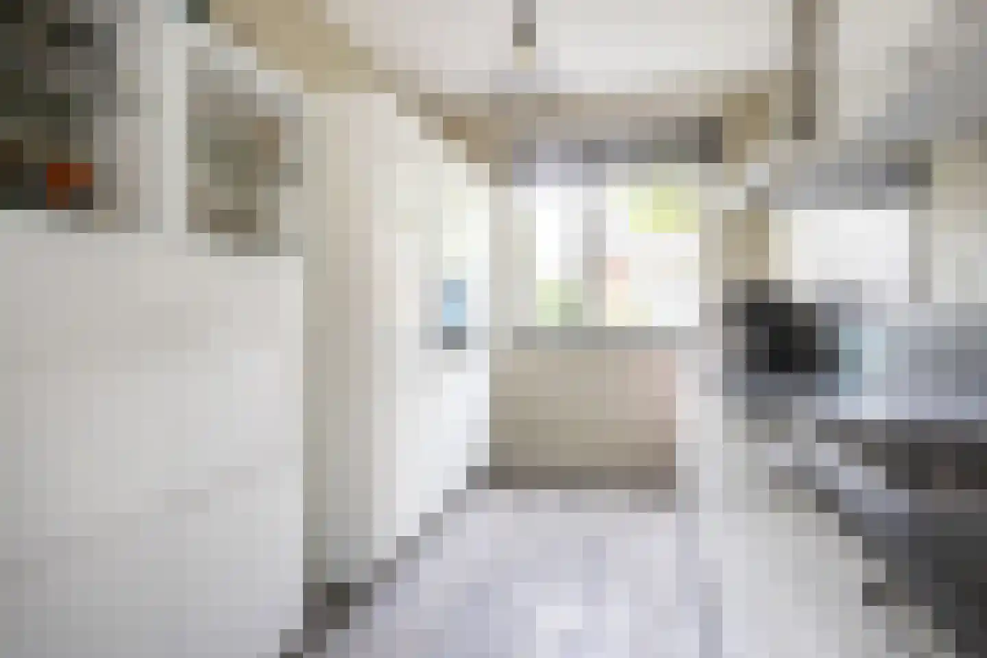 Breesteegh 23 Zeist thumbnail 10
