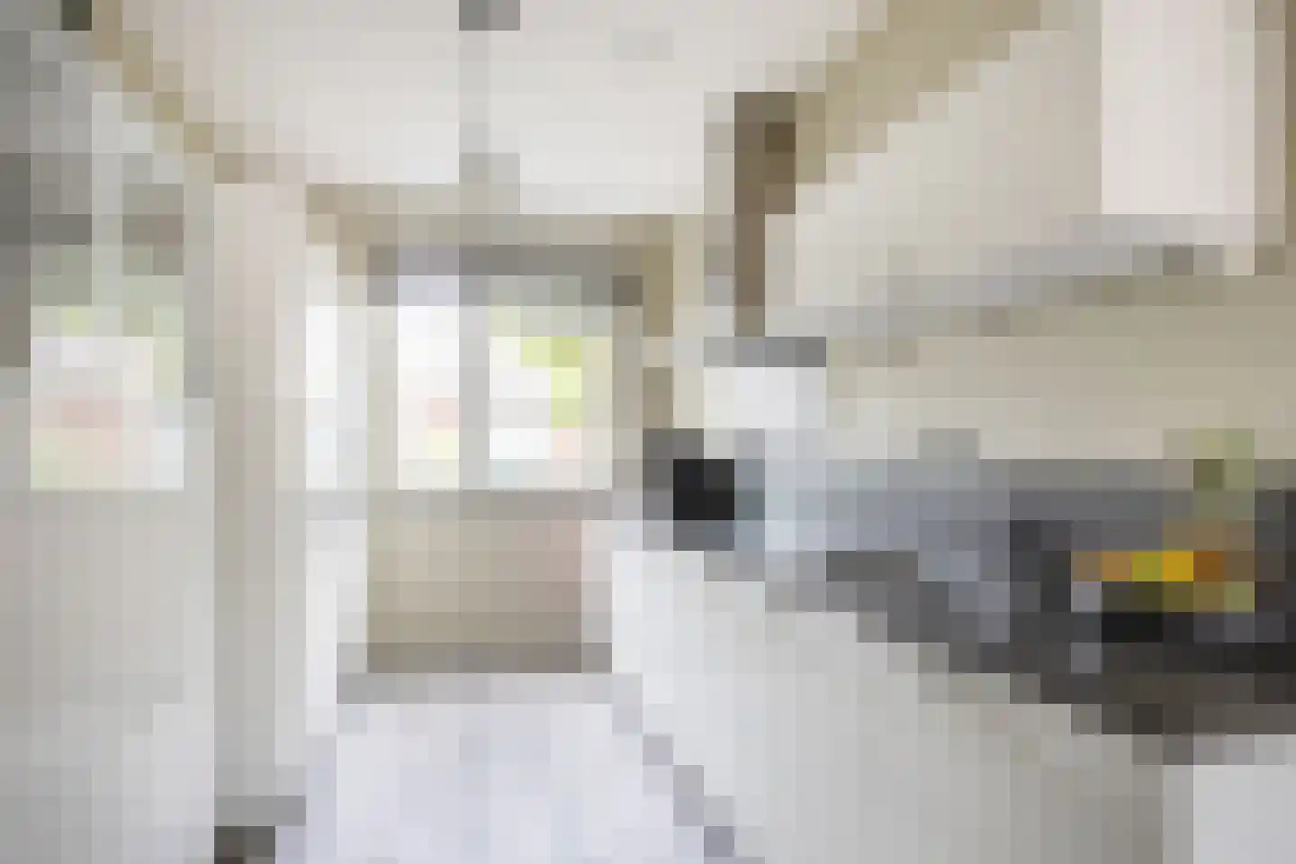 Breesteegh 23 Zeist thumbnail 11