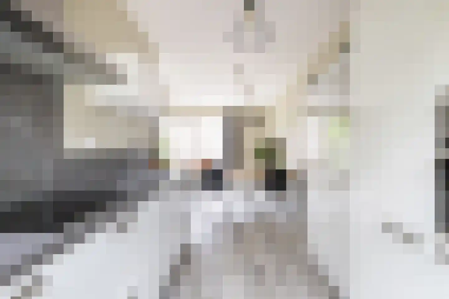 Breesteegh 23 Zeist thumbnail 12