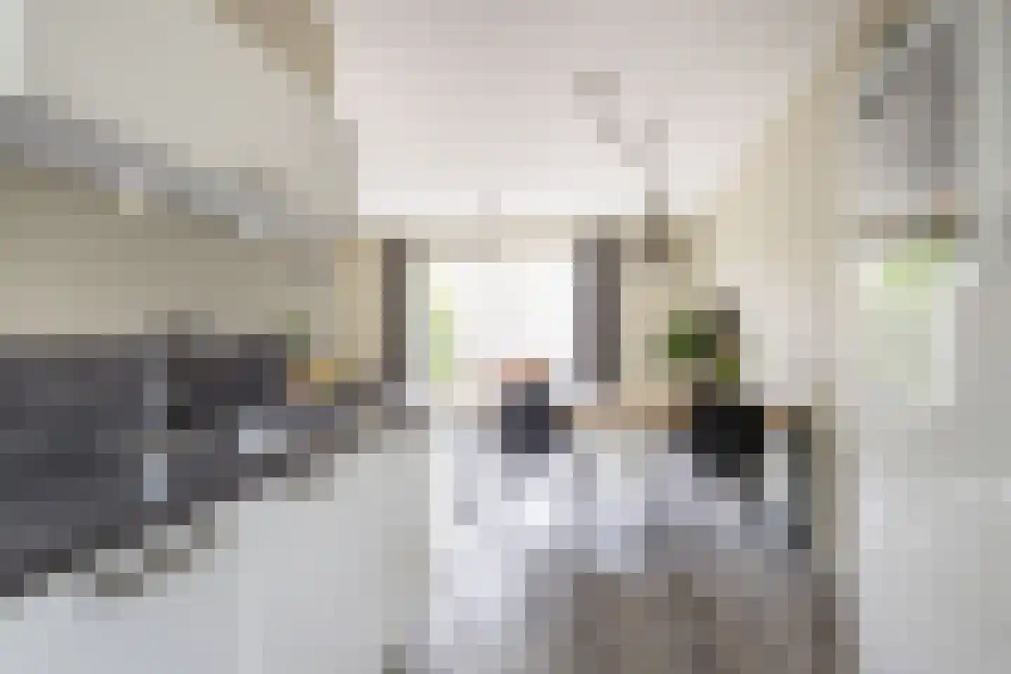 Breesteegh 23 Zeist thumbnail 13
