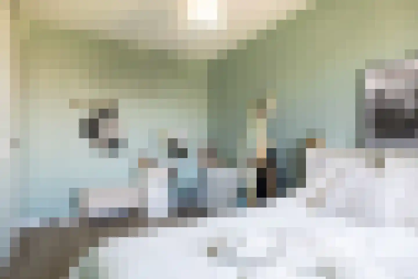 Breesteegh 7 Zeist thumbnail 35