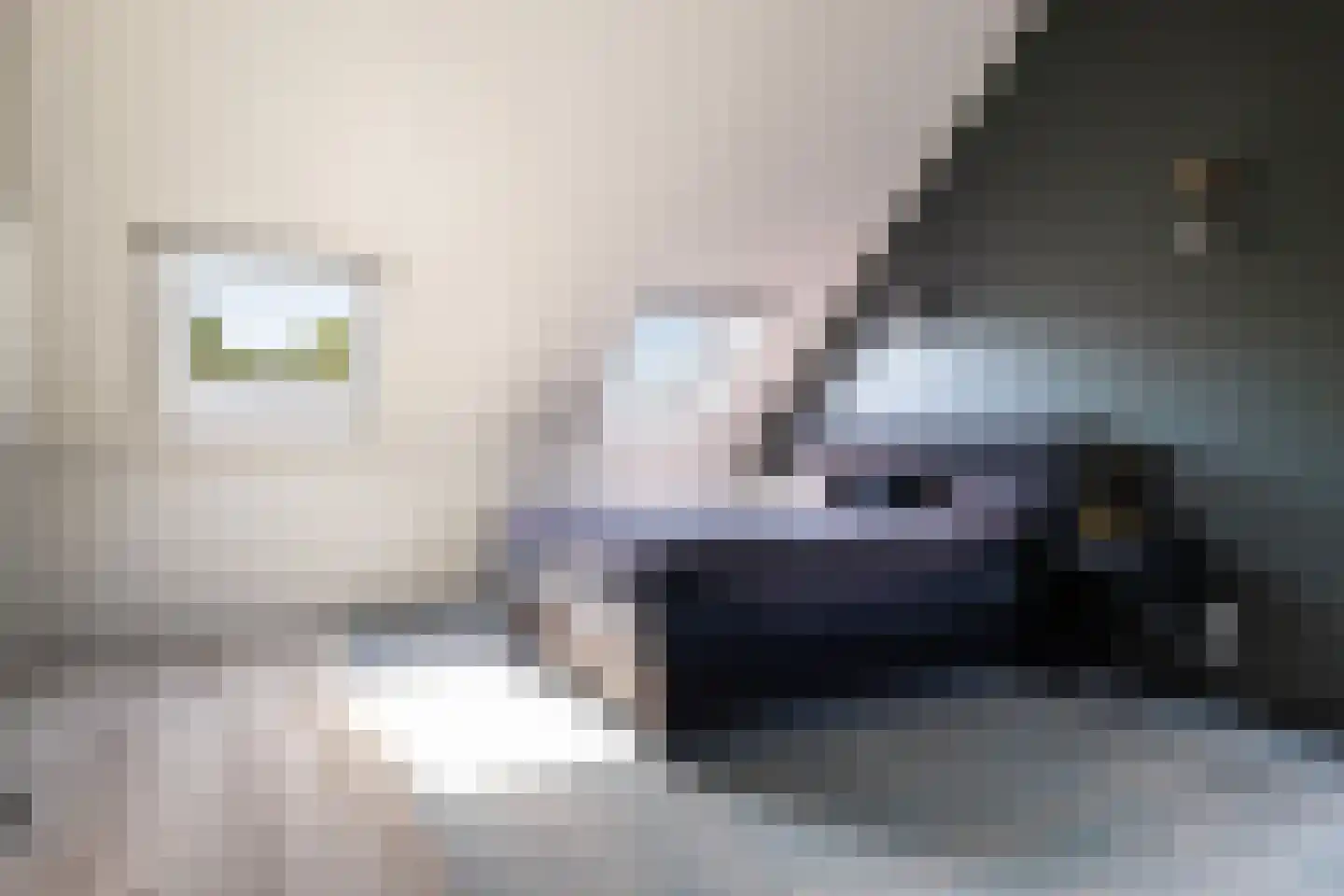 Breesteegh 7 Zeist thumbnail 39
