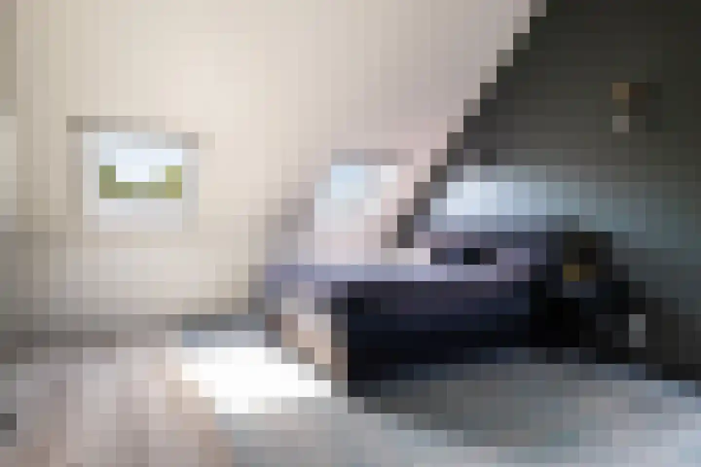 Breesteegh 7 Zeist thumbnail 40