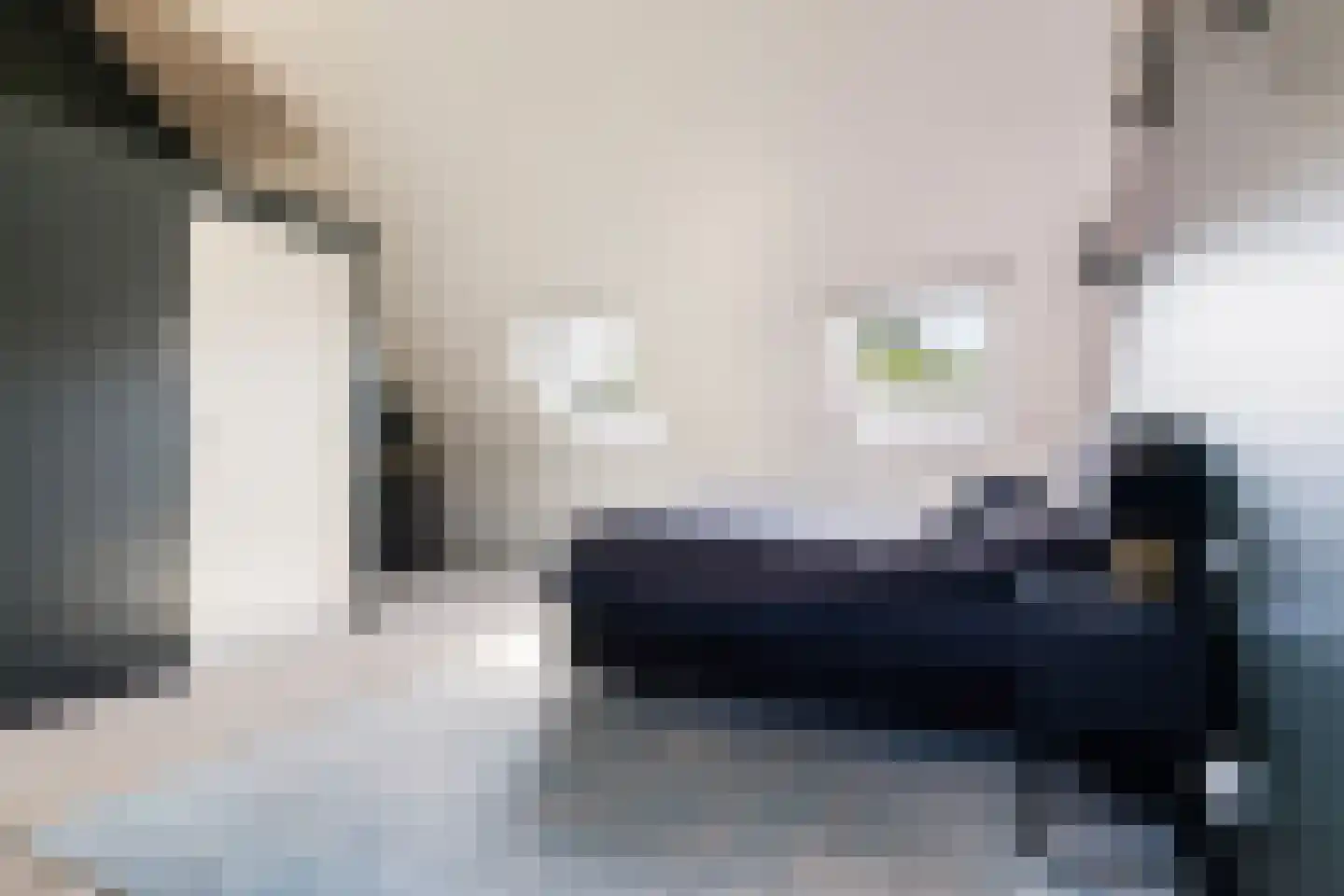 Breesteegh 7 Zeist thumbnail 41