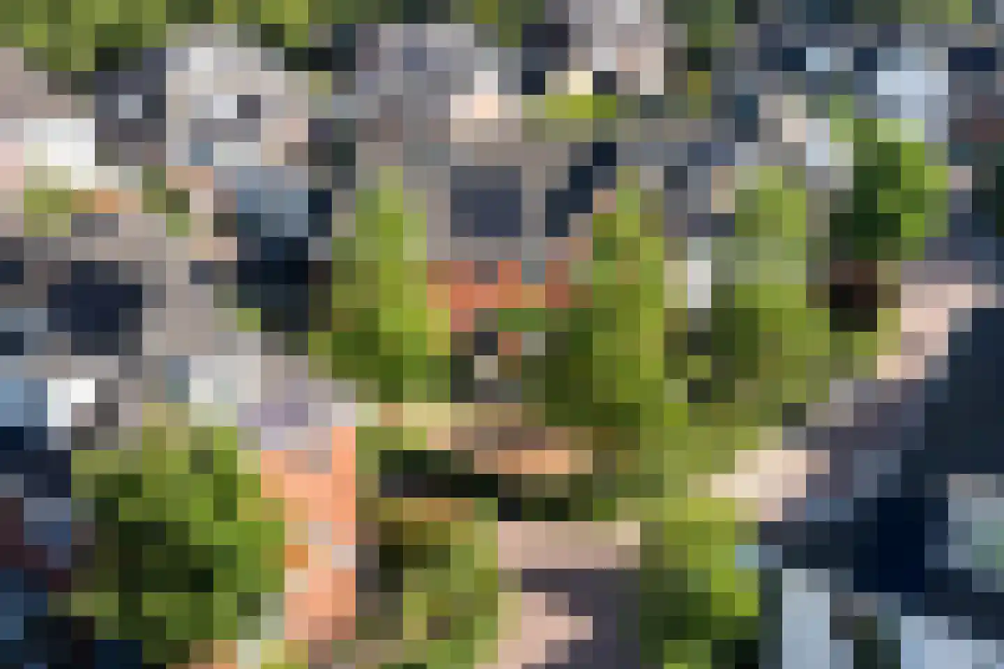 Breesteegh 7 Zeist thumbnail 45