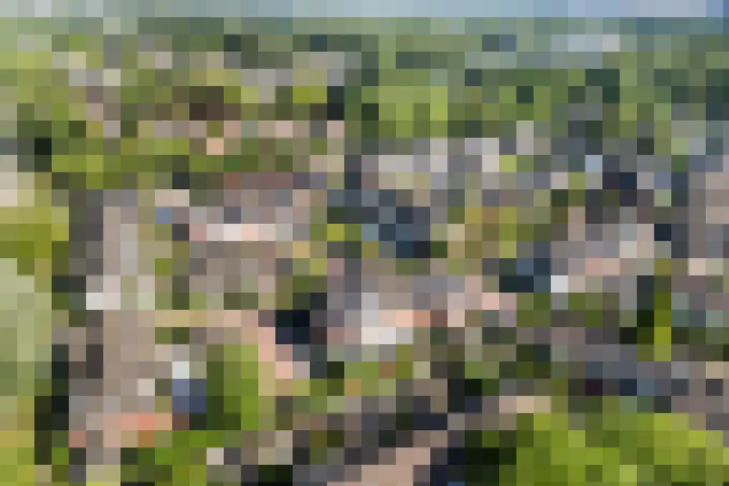 Breesteegh 7 Zeist thumbnail 48