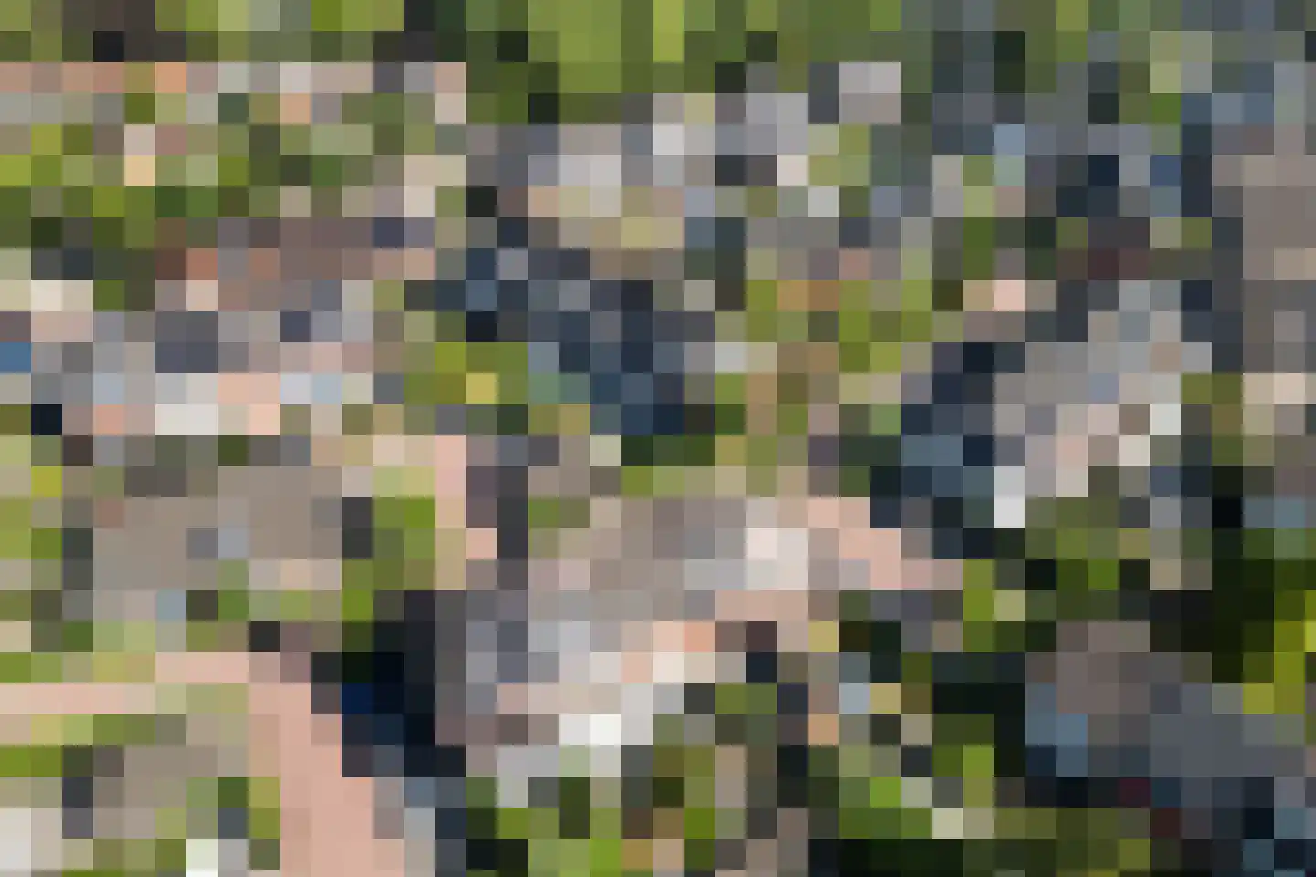 Breesteegh 7 Zeist thumbnail 49
