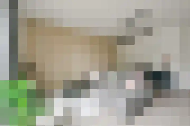 Breestraat 1 a Middenmeer thumbnail 10