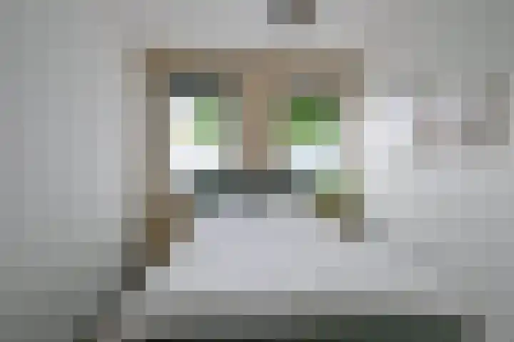 Breestraat 1 a Middenmeer thumbnail 12