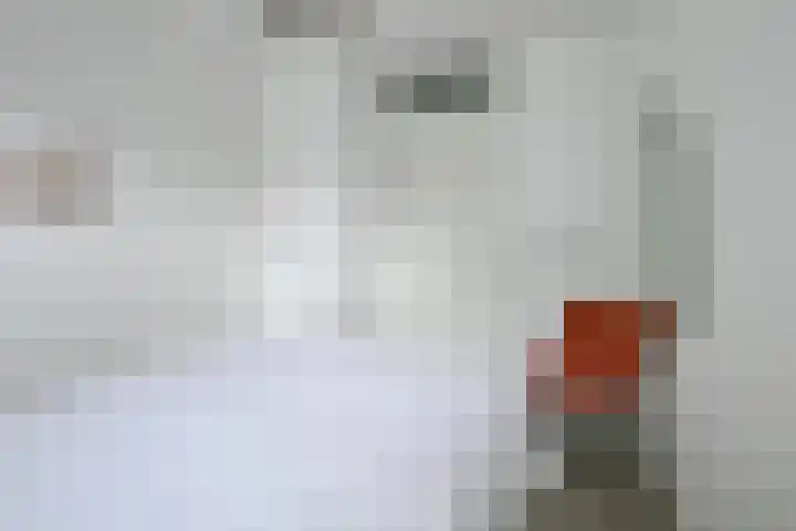 Breestraat 1 a Middenmeer thumbnail 13