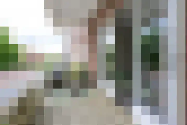 Breestraat 1 a Middenmeer thumbnail 20