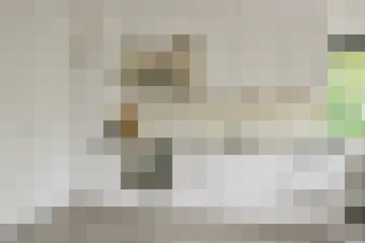 Breestraat 1 a Middenmeer thumbnail 7