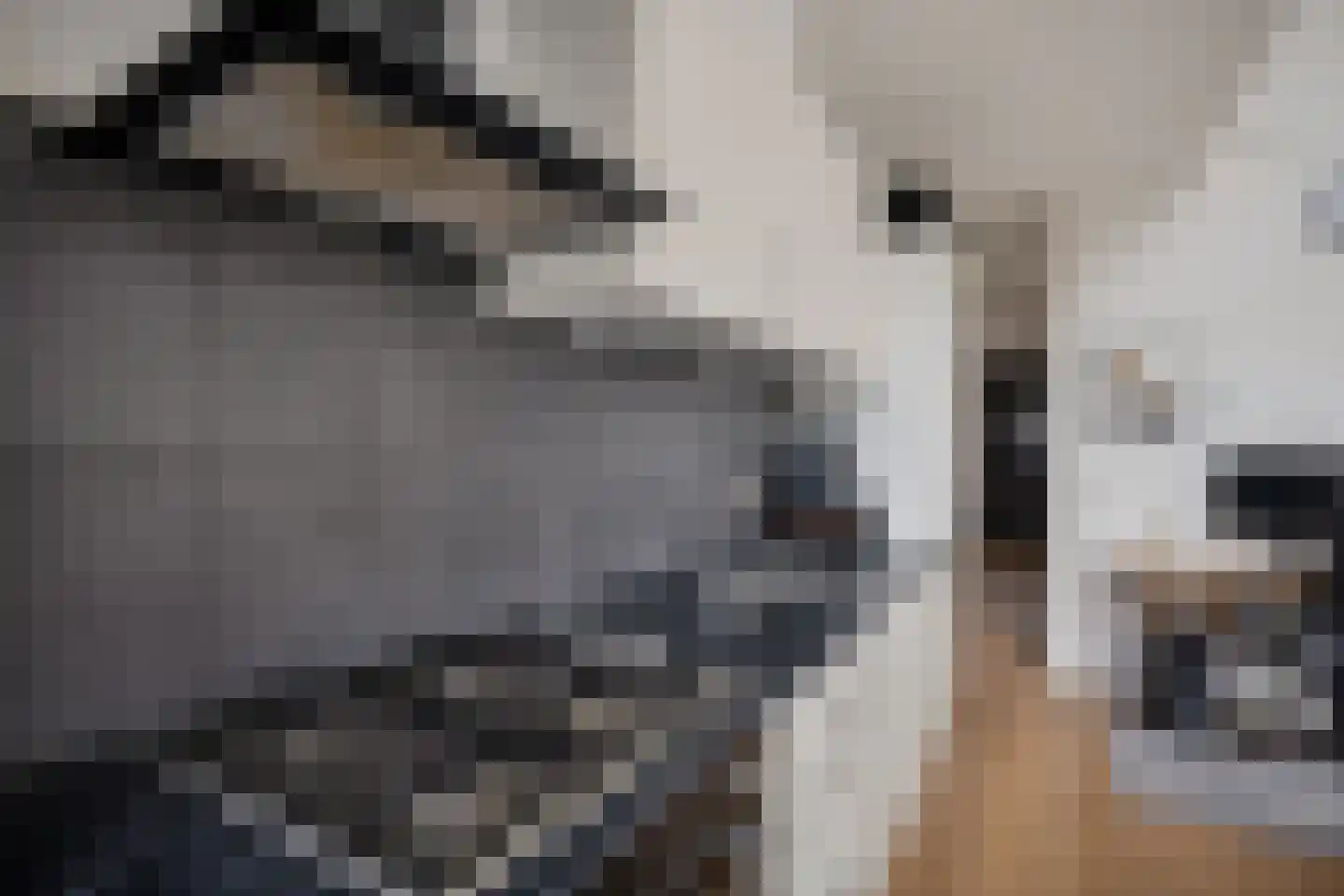 Breestraat 1 h Middenmeer thumbnail 16