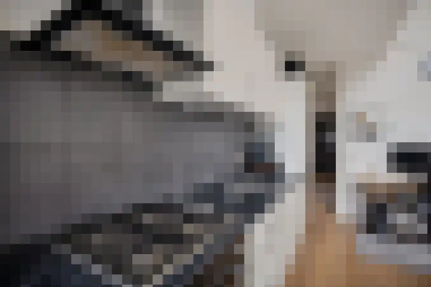 Breestraat 1 h Middenmeer thumbnail 16