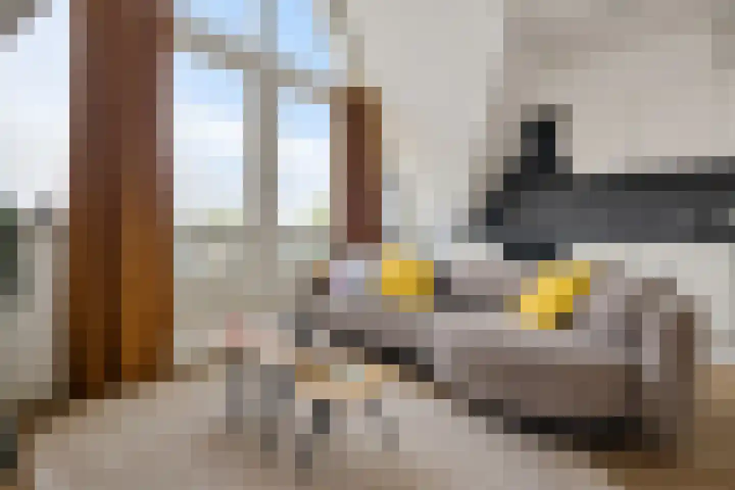 Breestraat 1 h Middenmeer thumbnail 18