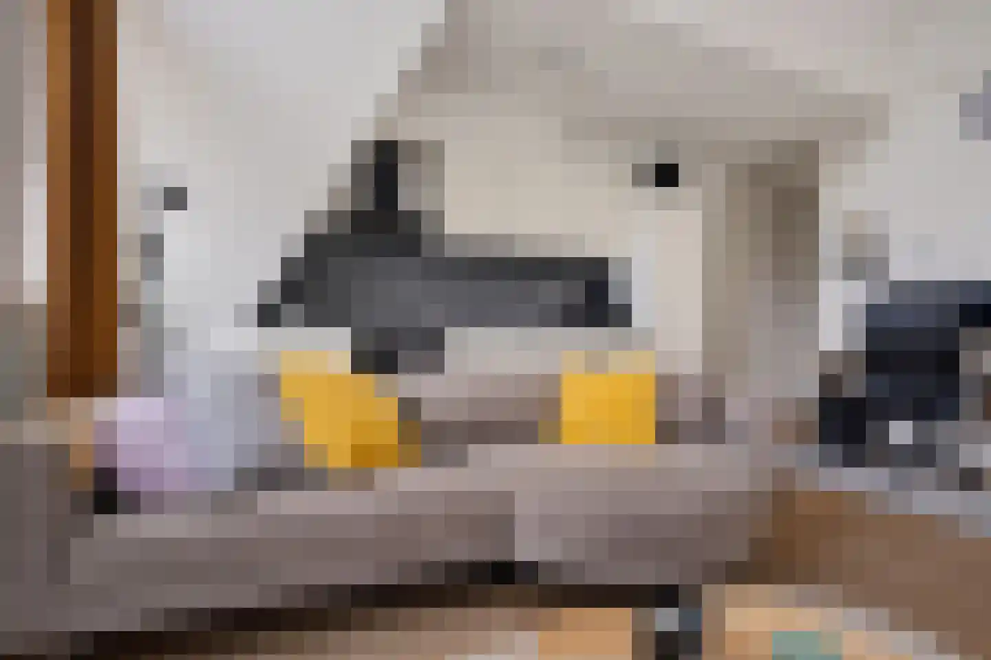 Breestraat 1 h Middenmeer thumbnail 20