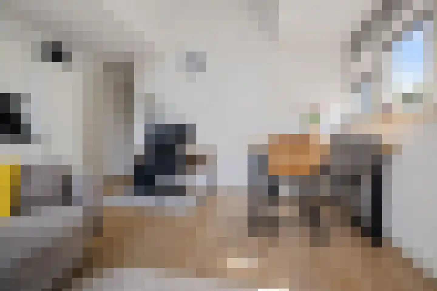 Breestraat 1 h Middenmeer thumbnail 21
