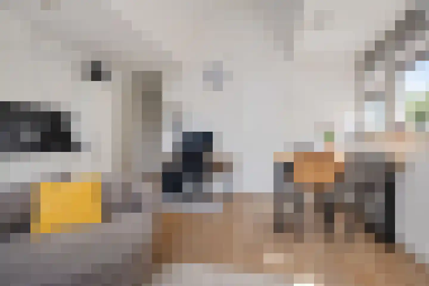Breestraat 1 h Middenmeer thumbnail 22