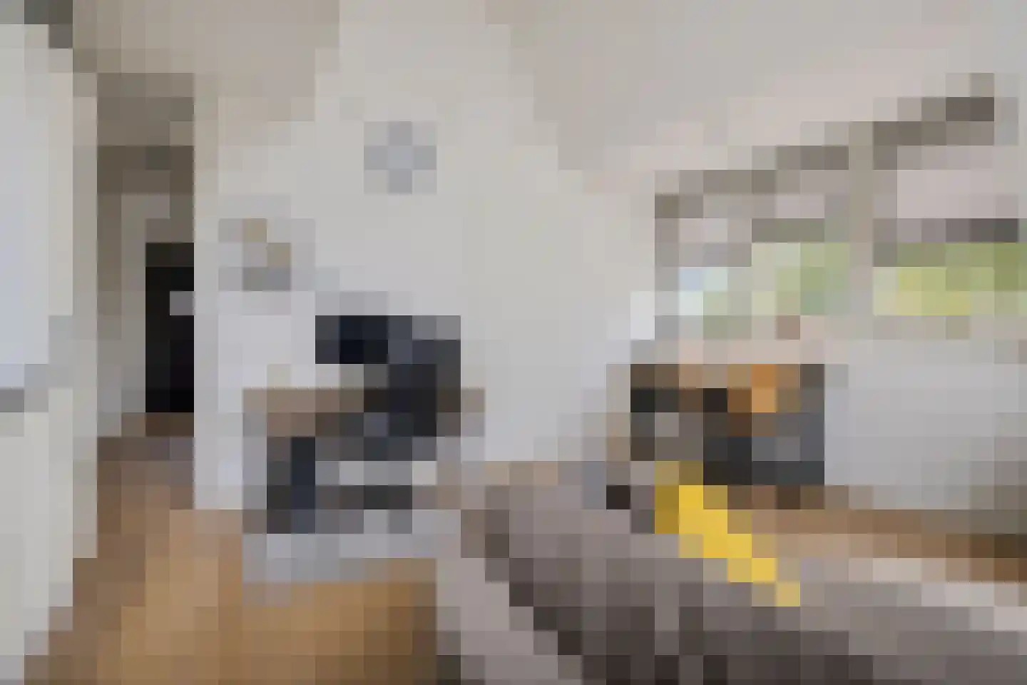 Breestraat 1 h Middenmeer thumbnail 24