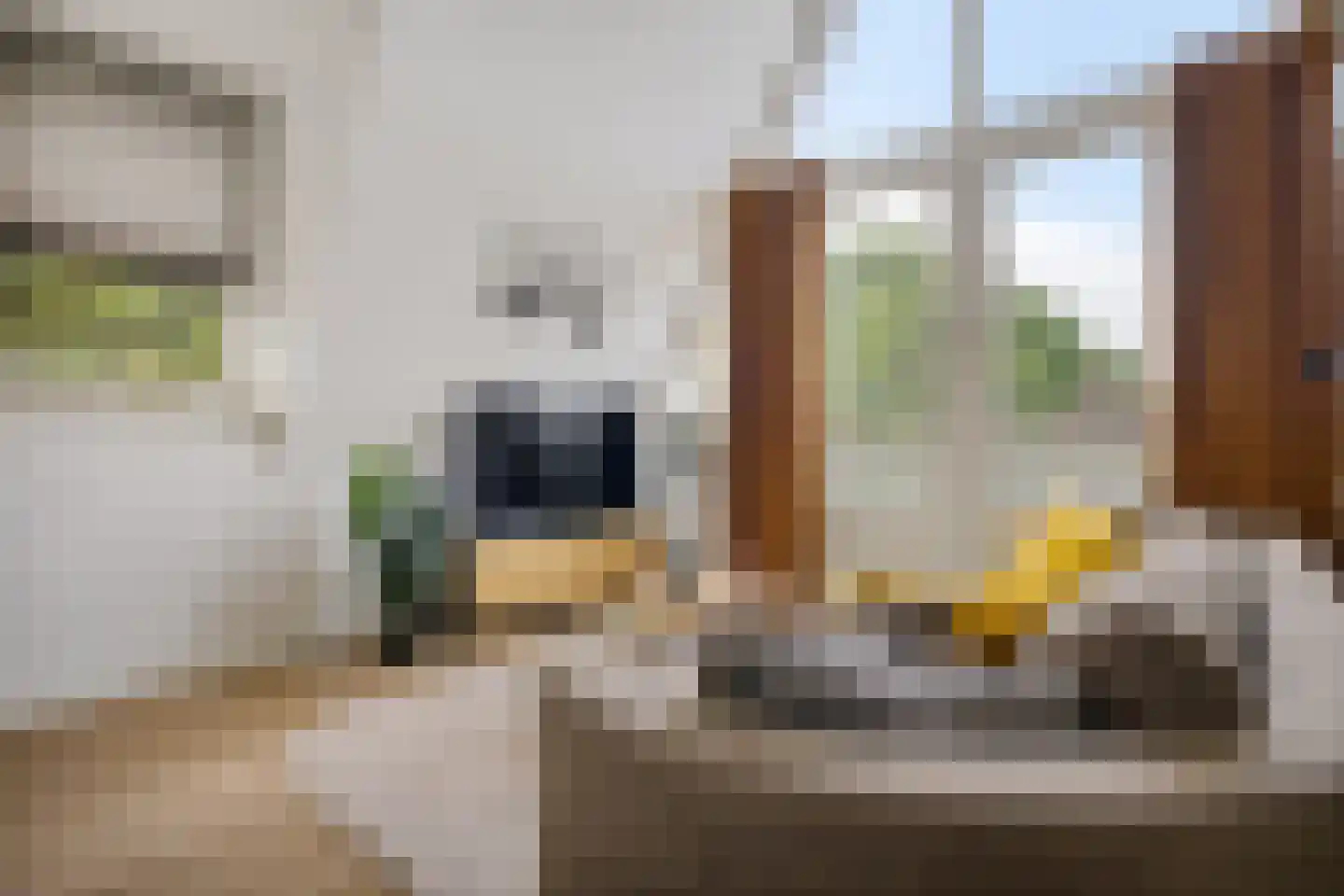 Breestraat 1 h Middenmeer thumbnail 29