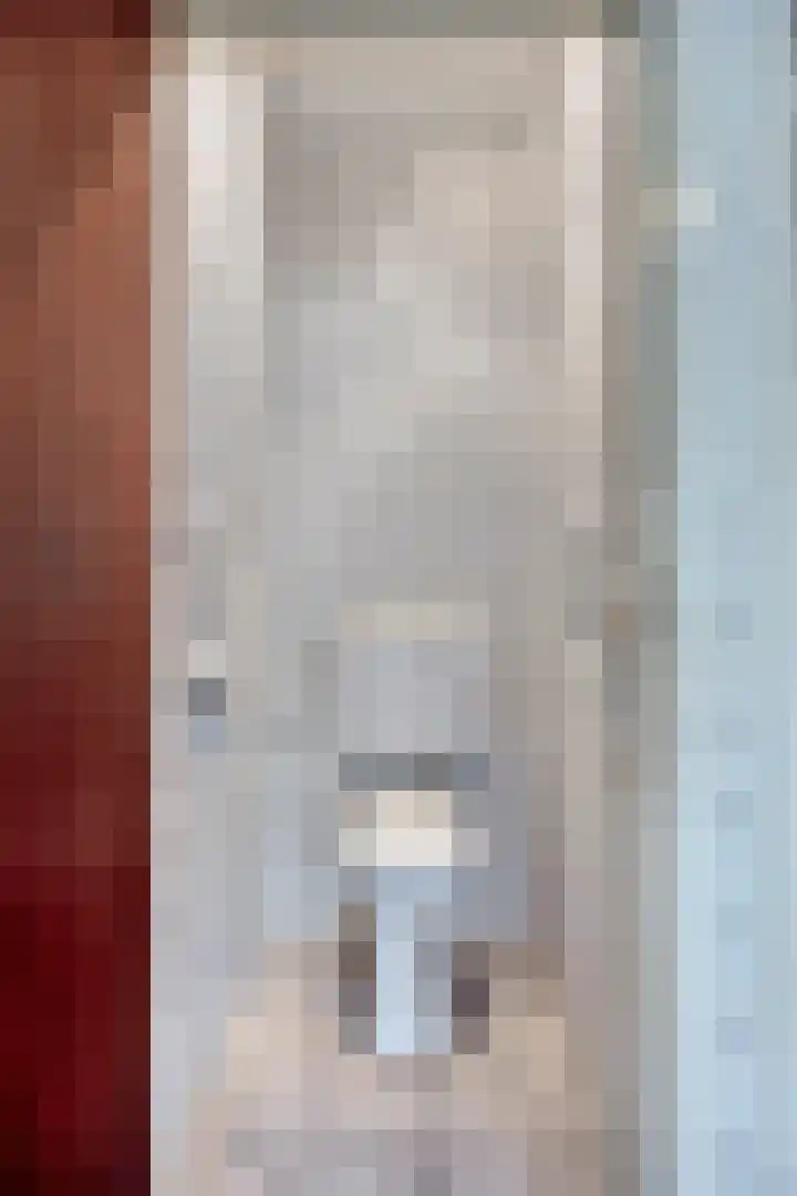 Breestraat 1 Hoogeloon thumbnail 32